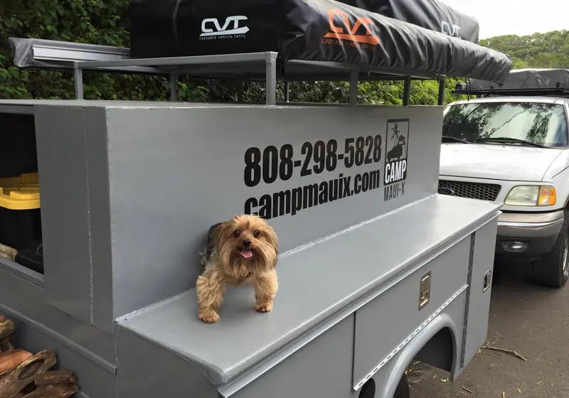 Schedule Camping Trip in Maui HI