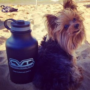 Camping Trip Maui HI Camp Maui-X